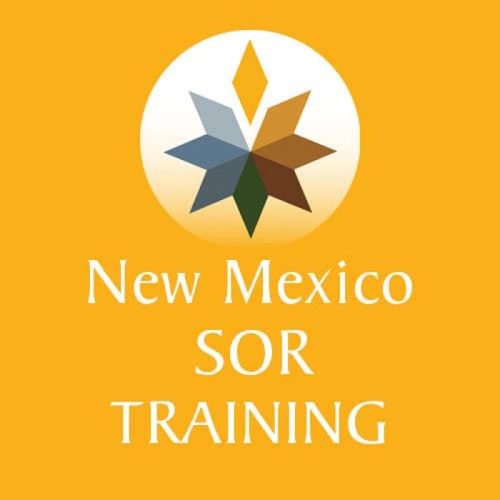 NM-SOR-Training-Icon